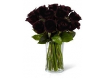 Love me Not - 12 Stems Vase